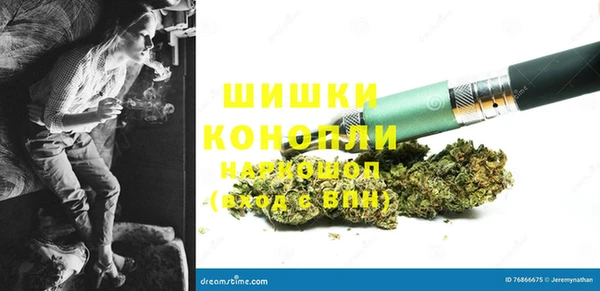 гидропоника Новозыбков