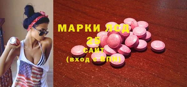 гидропоника Новозыбков