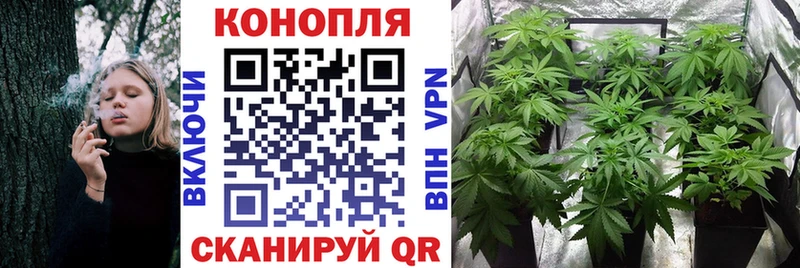 Купить закладки  Куровское  Бошки марихуана индика 